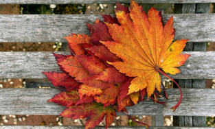 Karmavara Funeral services, Bangalore